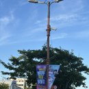 미항초등학교 | 목포 여행 코스 추천 | 목포 낙지 맛집 독천골 솔직 후기 (육회낙지탕탕이, 낙지볶음)