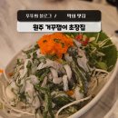 cu원주단계리버풀점 | 원주 막회 맛집 단계동 포장마차 거꾸잽이 초장집