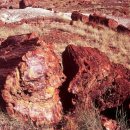 믿음의 동산 이미지