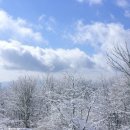 신사-113 이미지