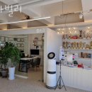 스타빌리 이미지