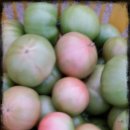 현진농장 이미지