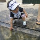 냇가한옥 이미지