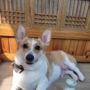 몽이미용실 이미지