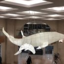 소노캄 제주 이스트타워 이미지