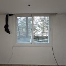 양지파인리조트 이미지