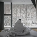 대강면사무소 | 단양 황정산자연휴양림 신축건물 연립C동 수리봉 숙박후기 (f.단양시장 충청도 순대국)