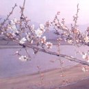 사진을 찍다 이미지