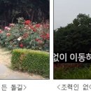 장미원내부 화장실 이미지