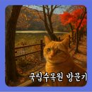 육림호카페 | 11월 국립수목원 육림호 코스 후기, 만추의 끝에서 건진 마지막 단풍