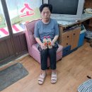 새금빛 약국 이미지