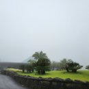 상효동-6 이미지