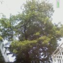 아카시아병원 이미지