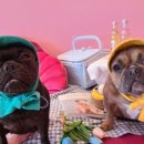 스파트리송정 이미지