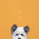 몽그라피
