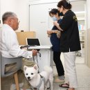 성남 시립동물병원 이미지