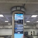 천지목장 | 제주도 여행 | 첫째날, 둘째날 | 먹돌고기국수, 성이시돌 목장, 오설록, 용두암, 어영공원, 김만복 김밥