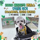 라라렙타일 | 2026 대한민국 펫캉스 구미코 방문 후기 (부스배치도, 장단점 총정리)