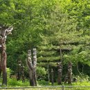 둘레길펜션 이미지