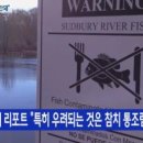 참치21 이미지