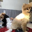 개리비안베이 이미지