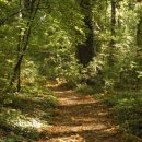 우신 행정사 사무소 이미지