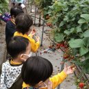 꿈바위어린이집 이미지