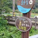 봉성저수지 둘레길 이미지