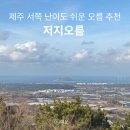 저지오름주차장 | 제주 서쪽 저지오름 가볼만한곳 추천 주차 소요시간 난이도 후기