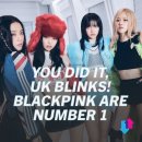 [분석글] BLACK to the PINK 어디서든 특별한 월클 블랙핑크 이야기 이미지