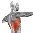 벤바디짐 이미지