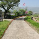 고란농장 이미지