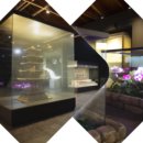 부여(사비)-09 이미지