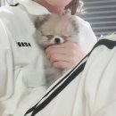 나연이네