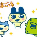 마시따루 이미지