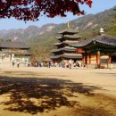 산지곡 이미지