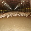 월계농장 이미지