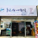 우리들항공여행사