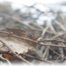 한스민박 이미지