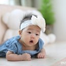드림이즈 이미지