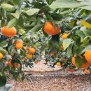 생규농장 이미지