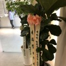 세라젬 웰라운지 의정부금오점 이미지