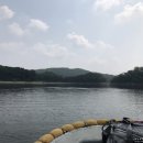 금터좌대보트