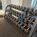 매드볼릭휘트니스 이미지