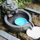 좌구산휴양림약수터 이미지