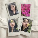 일상🍀