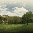 기린여행사(주) 이미지