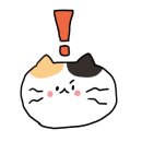 광덕닭집