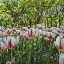 송 행정사사무소 이미지