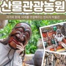 한라봉관광